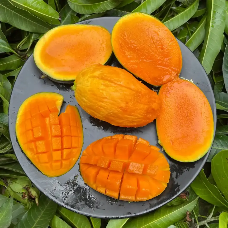 আমরুপালি আম