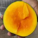 গোবিন্দভোগ আম  4