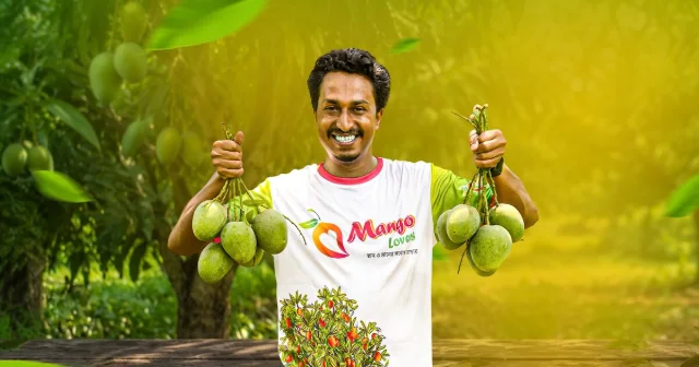 মনার আমের প্রিমিয়াম প্যাকেজিং