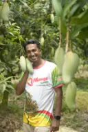 ব্যানানা আম 2