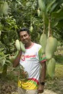 ব্যানানা আম 3