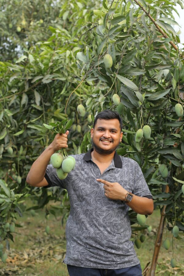 am rupali mango