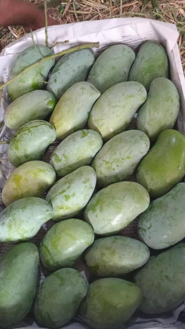 am rupali mango